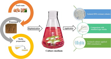 Sustainable utilization of unavoidable food waste into nutritional media for the isolation of bacterial culture for the removal of heavy metals