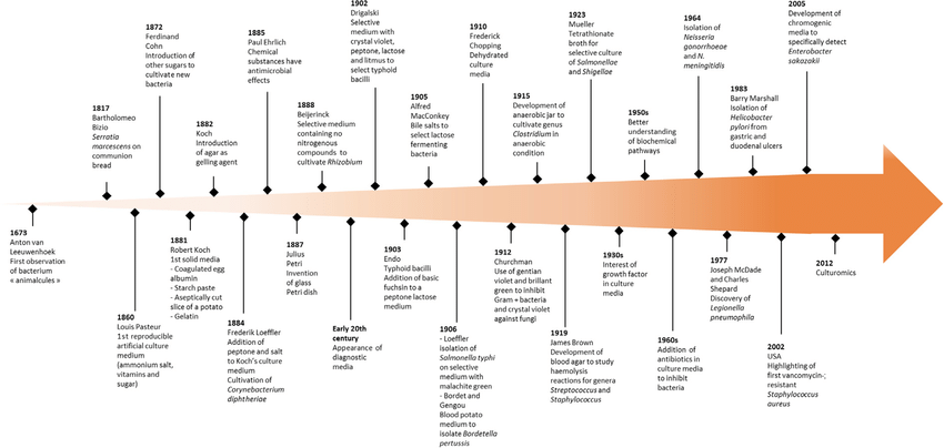 Evolution of culture media: from the first bacterial culture (1673) to culturomics.