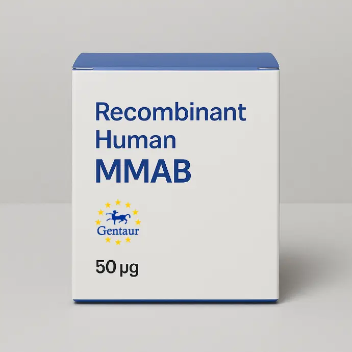 Recombinant Human MMAB - 50 µg