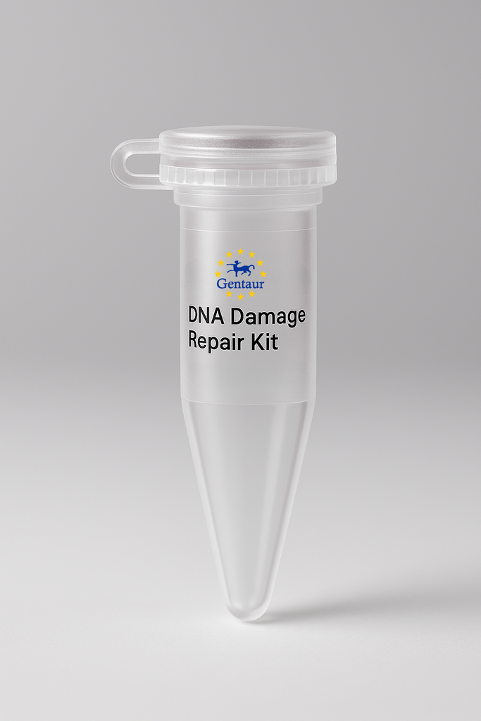 DNA Damage Repair Kit