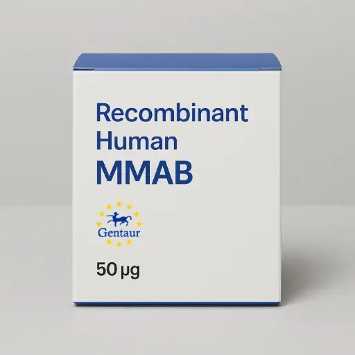[LM-38257] Recombinant Human MMAB - 50 µg