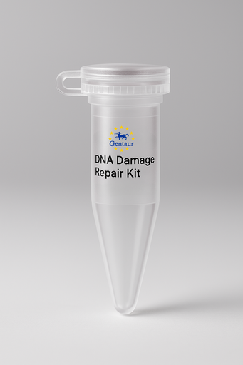 [MA-NGS-01] DNA Damage Repair Kit