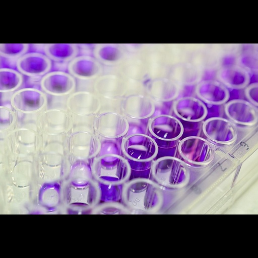 [0197-STA-816] OxiSelect™ Nε ''carboxymethyl'' lysine ''CML'' Competitive ELISA Assay   96 assays